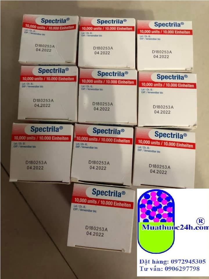 Thuốc Spectrila Asparaginase giá bao nhiêu mua ở đâu