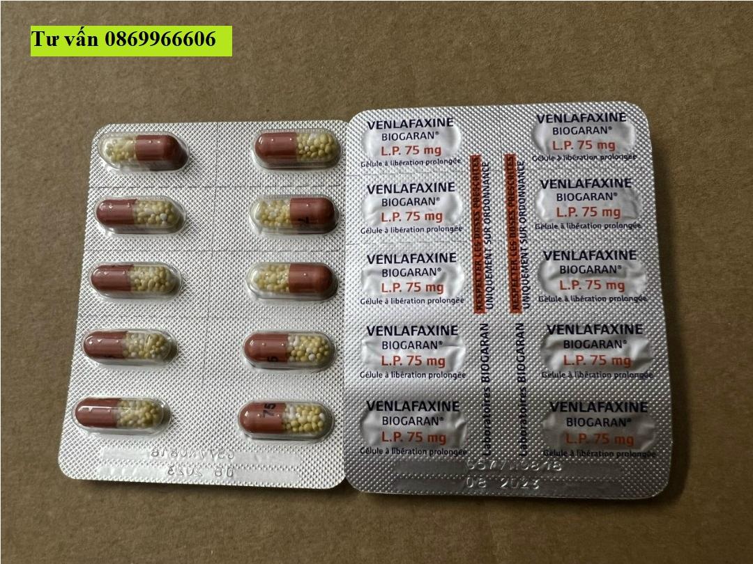 Thuốc Venlafaxine Biogaran giá bao nhiêu mua ở đâu?