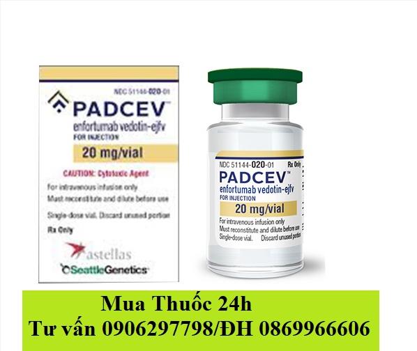 Thuốc Padcev Enfortumab vedotin 20mg giá bao nhiêu mua ở đâu?