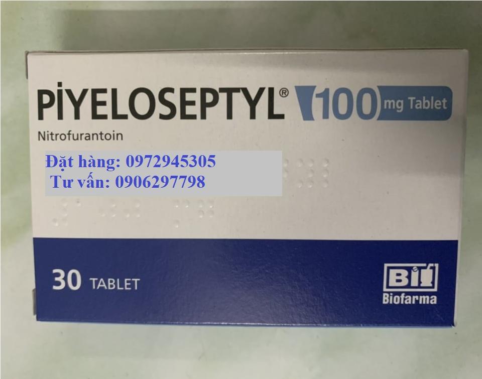 Thuốc Pyeloseptyl Nitrofurantoin giá bao nhiêu mua ở đâu