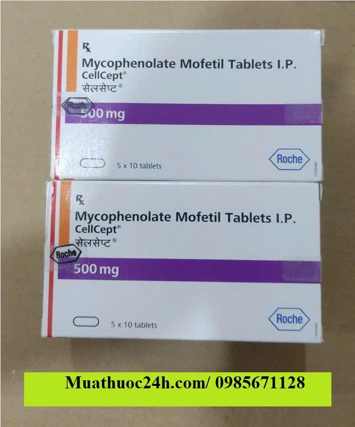Thuốc Mycophenolate Mofetil 500mg giá bao nhiêu mua ở đâu?